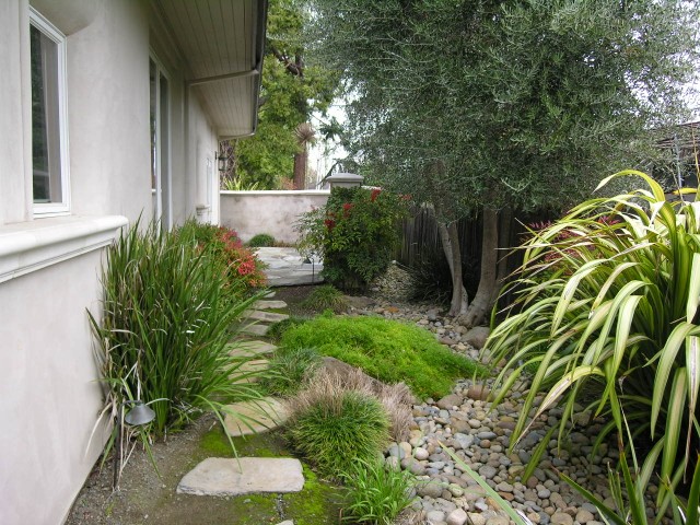 Side Yard Side Yard